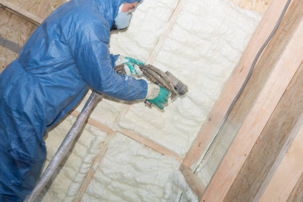 Types of Insulation We Offer in Bevil Oaks, TX